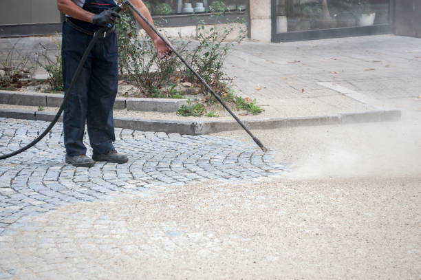 Best Roof Washing  in Manson, WA